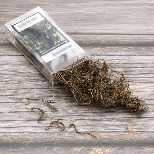 Dry Miniature Vines & Roots